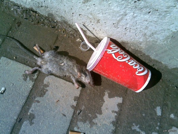 �������� � ��� ��������!