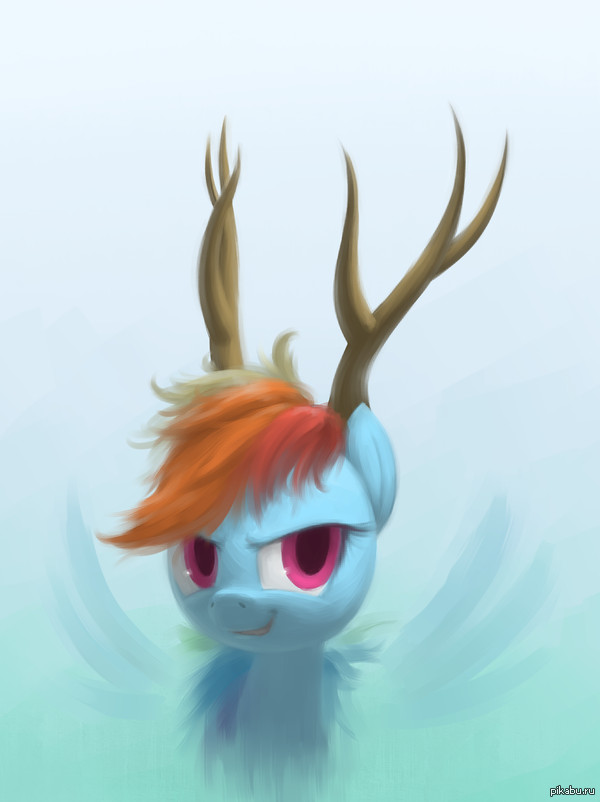  Rainbow Dash 