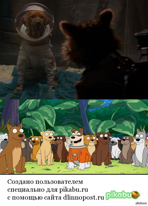 Что случилось с собаками , которые были отправлены в космос. По версии "Стражей галактики" и "Гриффины"