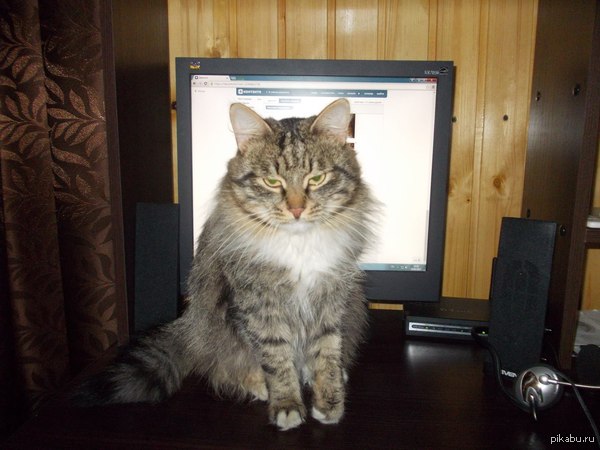 ���� ������.