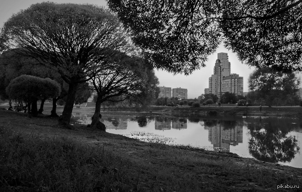 Park in the SPb. by timaxphoto