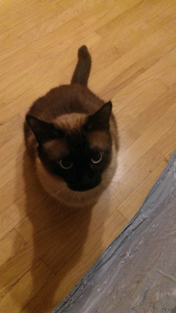 ���� ���������� �� � ����((