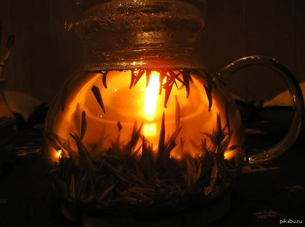 Хорошо, что чай на свете есть, — сказал я. — Давно бы уже пьяный под столом валялся…