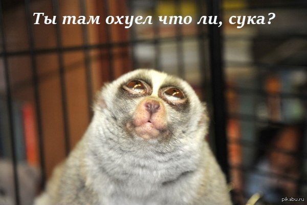    ,     ,      ,     ,  