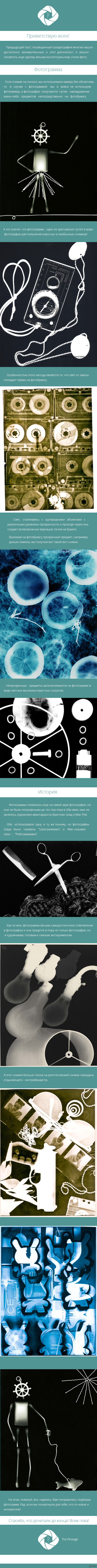 Фотограмма или фотография без фотоаппарата