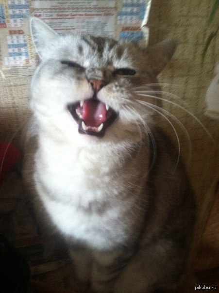 ������ ������ �������� :)