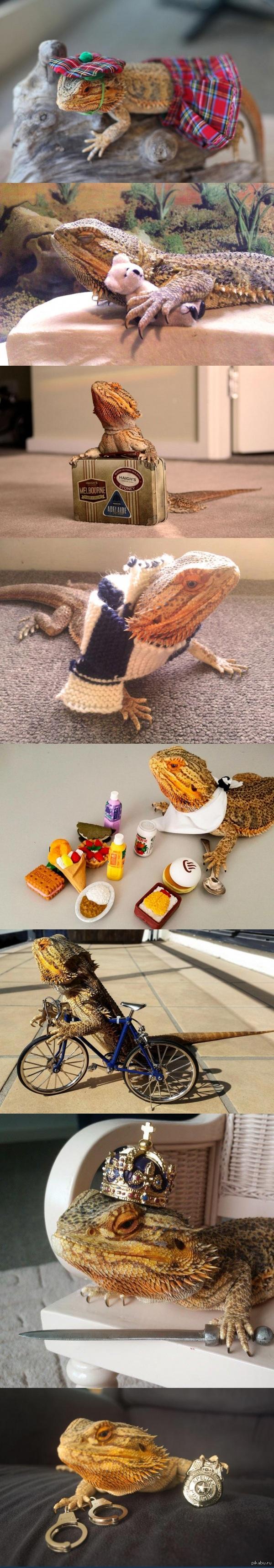 ����� ������������ ��������