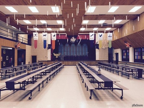 The staff of the local school turned the cafeteria into Hogwarts. - Harry Potter, School, Hogwarts