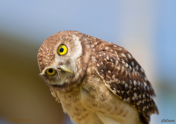 ���-�� � �� ���� ��������!