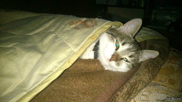 ��������� �������� ����� ��� ����� ��������. ��� ������