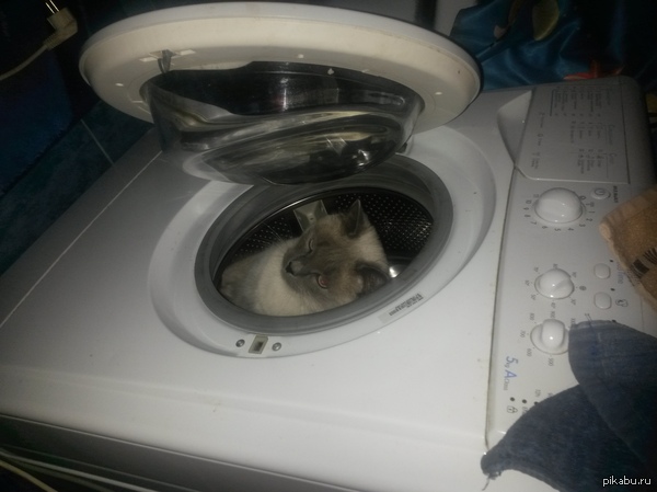 � ������ �����!