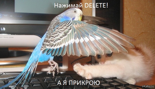       2     <a href="http://pikabu.ru/story/klassnyiy_kadr_3017019">http://pikabu.ru/story/_3017019</a>