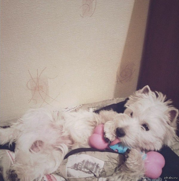 мне кажется, я зашла не вовремя...