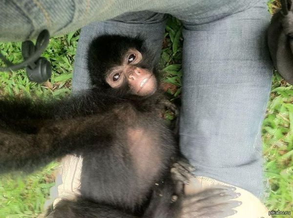 ����������� �����.