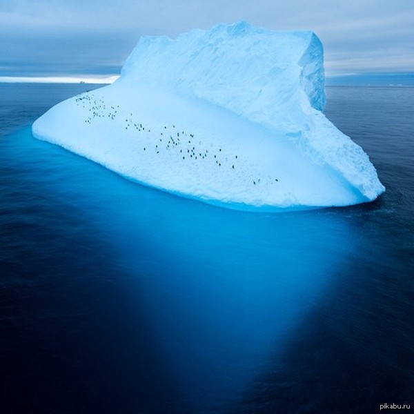 Айсберг с пингвинами на борту.