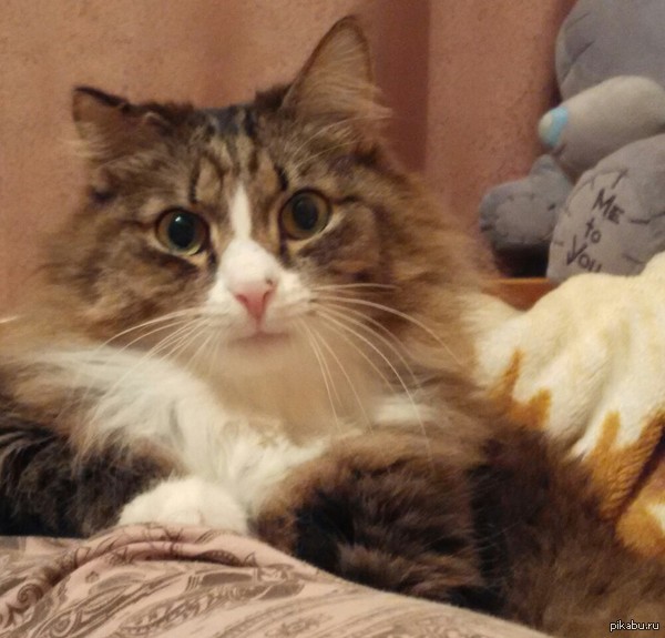 ��� ������ ���:)