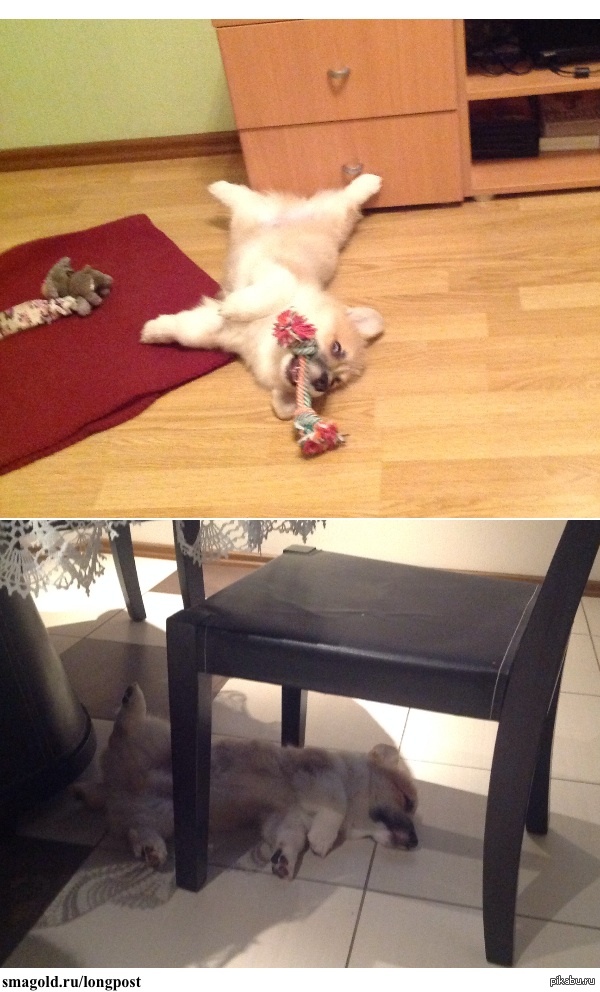 Настоящий мужик!