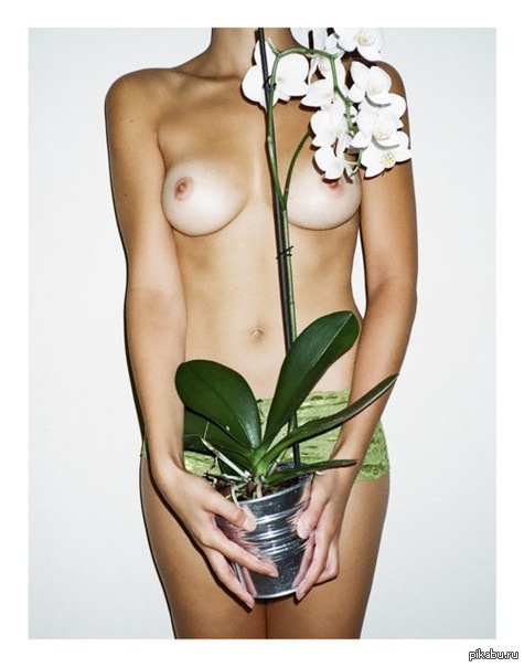 flower garden) - Girls, NSFW, Lily, Flowers