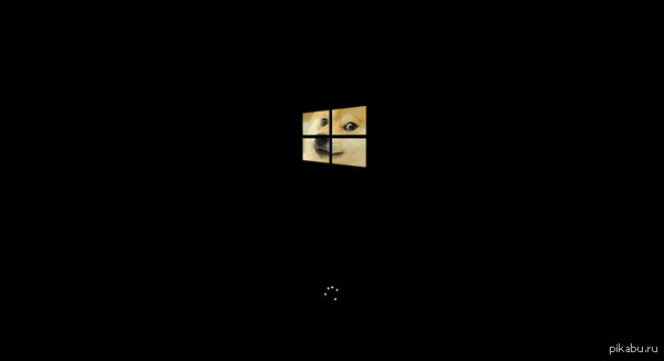 Заменил логотип загрузочного экрана, теперь меня приветствует doge Может в будущем сделаю полноценную windows 8.1 doge edition