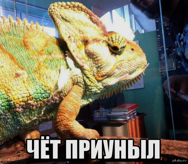 ����� ����������� ��������