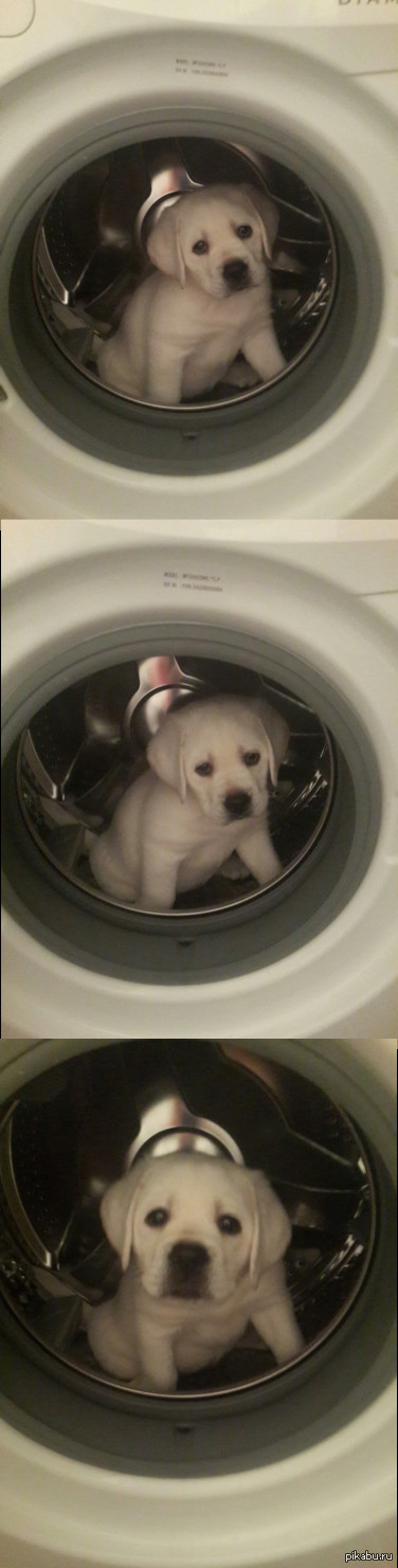    <a href="http://pikabu.ru/story/yunyiy_spasatel_3021615">http://pikabu.ru/story/_3021615</a>
