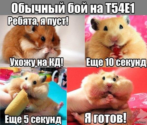 �����������!...