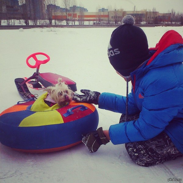 ������ ��, ������� �������� � �����