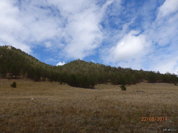 ��� ����