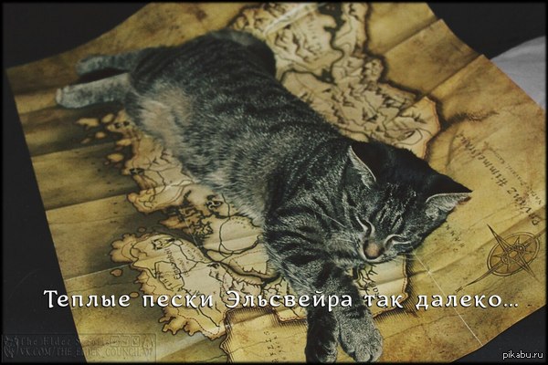 ��,��� � ���� ������� TES �� ���������.