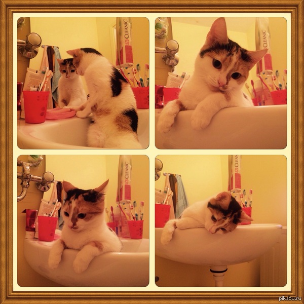 ������� ������