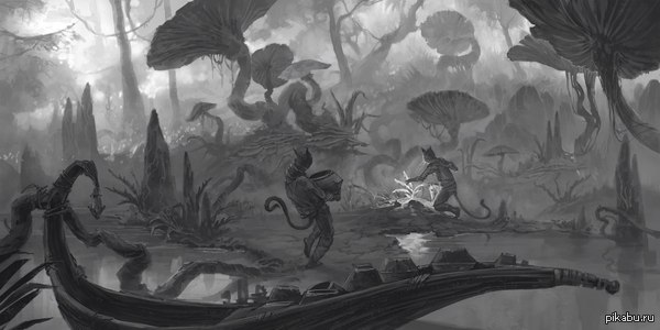 Не всем воевать, должен же кто то собирать корешки.