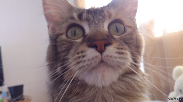 Когда тебя разбанили.