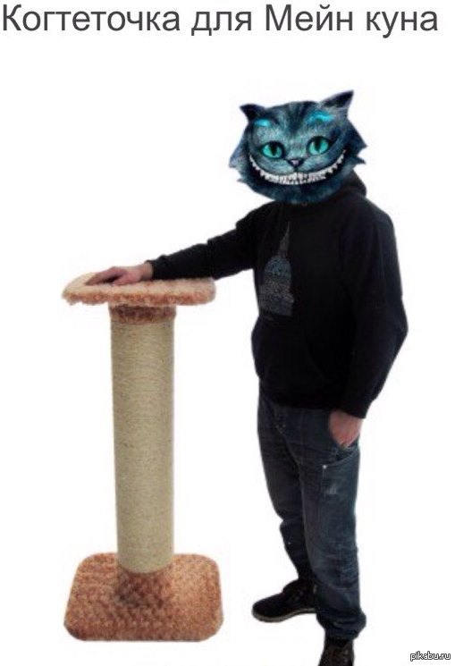 "Великолепие" маркетинга ... | Пикабу