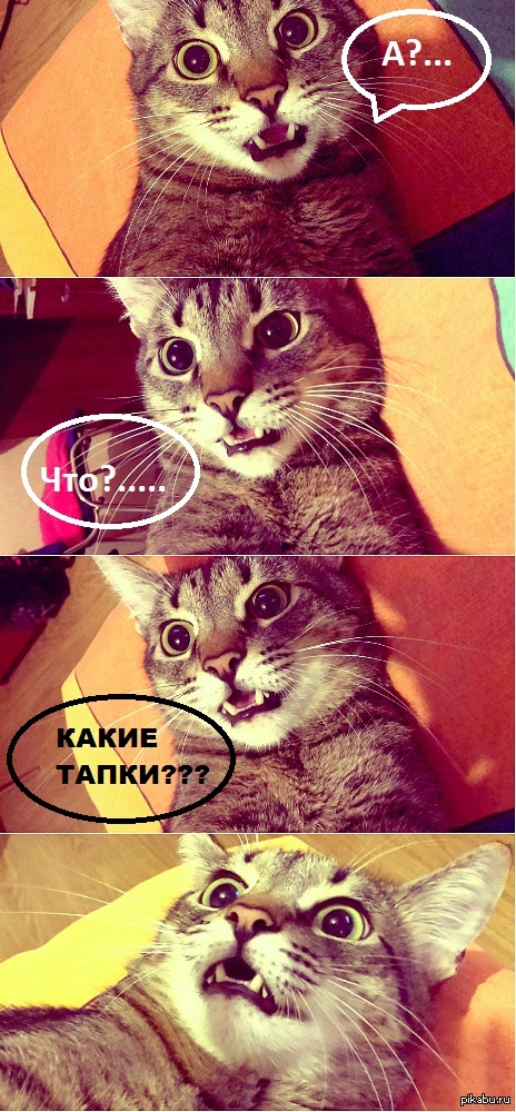 ����� � �����....