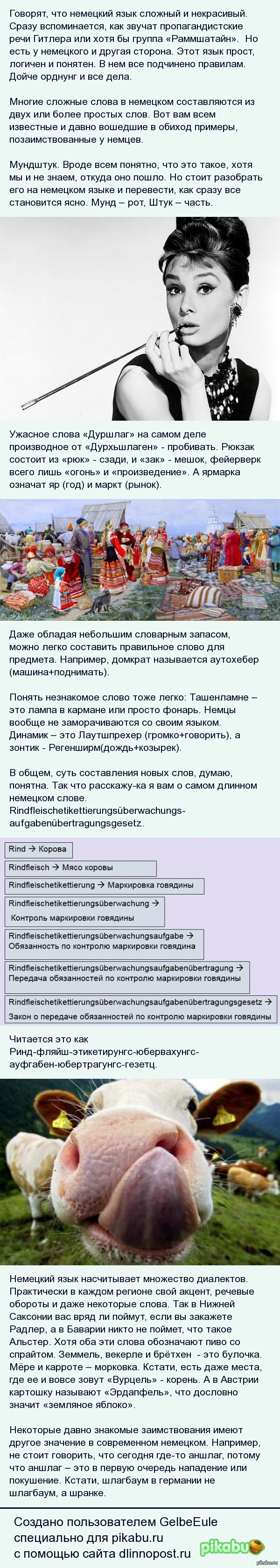 Немецкий язык | Пикабу