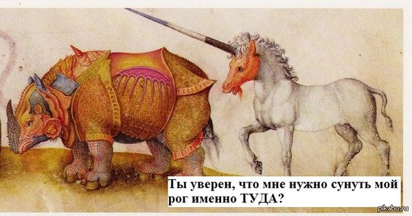 Something is wrong here. - Suffering middle ages, Rhinoceros, Horns, Unicorn