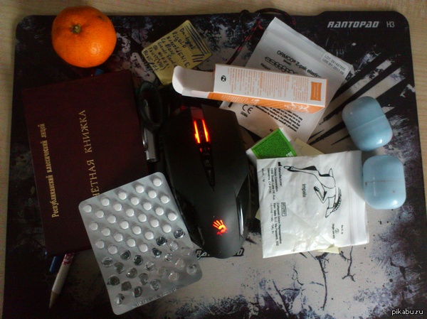 ���� ��-���� ��������� ������ ��������� ���� ���������� �� �����