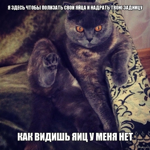 ����� ���� ��������� ���� ���.