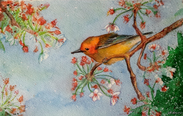 � �������� �����)