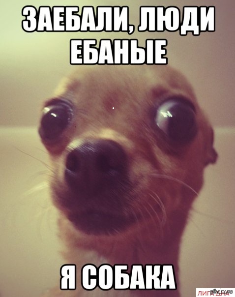 Неожиданно к ним присоединился друг Неожиданно к ним присоединился друг
