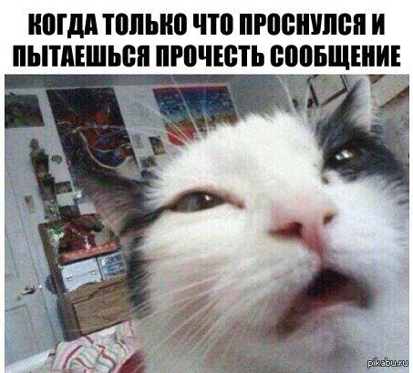  ! 