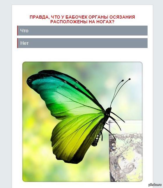 ����� �� ������ ��� ��������.