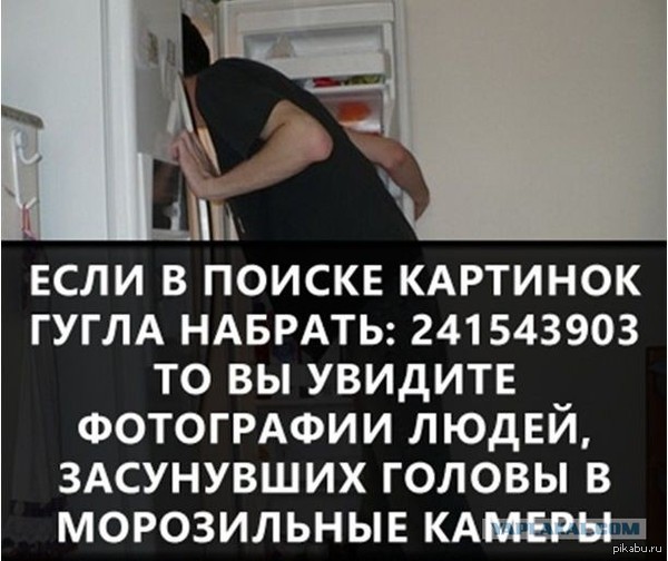 ����� �������� �������