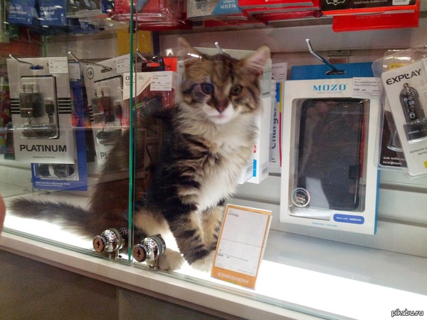 Обновили ассортимент