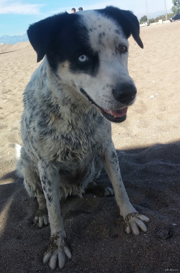 ��������� ��