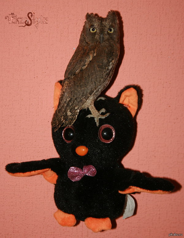 ��������� ���� ������� �������� ������� ����!