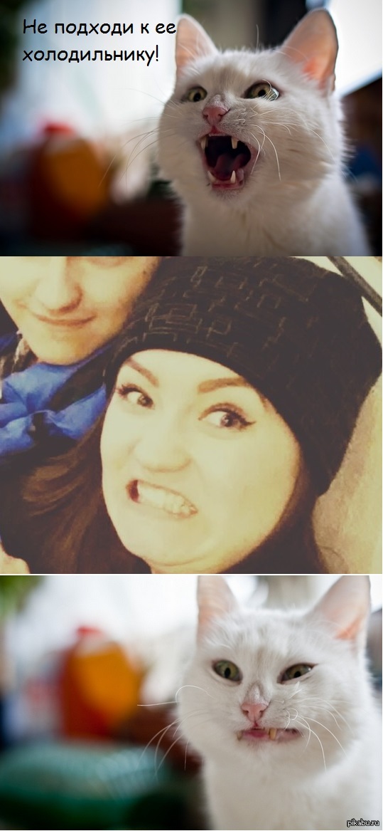 ����� � ��� ���� ���������� �������...