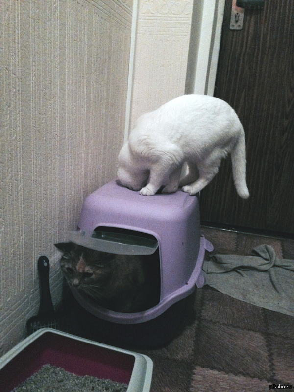 Что ты там делаешь?
