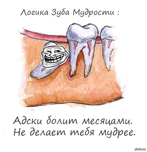 ��� �������� ����� �������