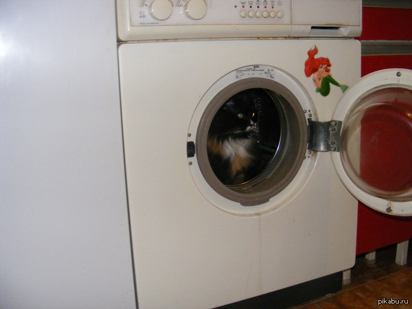 ������ ��� ��� ����� ��������